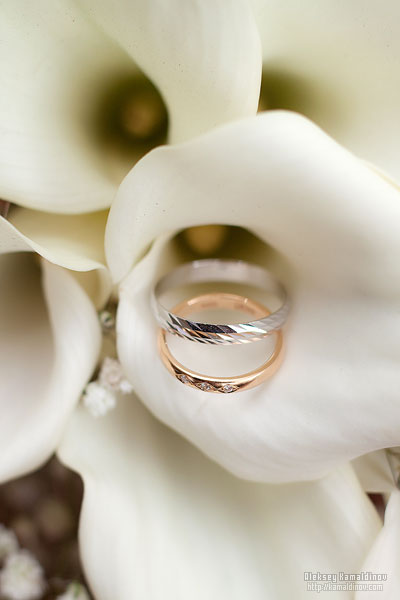 Алексей Камалдинов |  Персональное
.  7
.  👤.  Фото
.  8
.  📸.  Люди
.  
.  🧑‍🤝‍🧑.  Свадьба
.  
.  💍.  2009.  08/07 Илья и Юлия. 