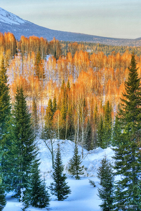 Алексей Камалдинов |  Персональное
.  7
.  👤.  Фото
.  8
.  📸.  Не люди
.  
.  ♾️.  Природа. 