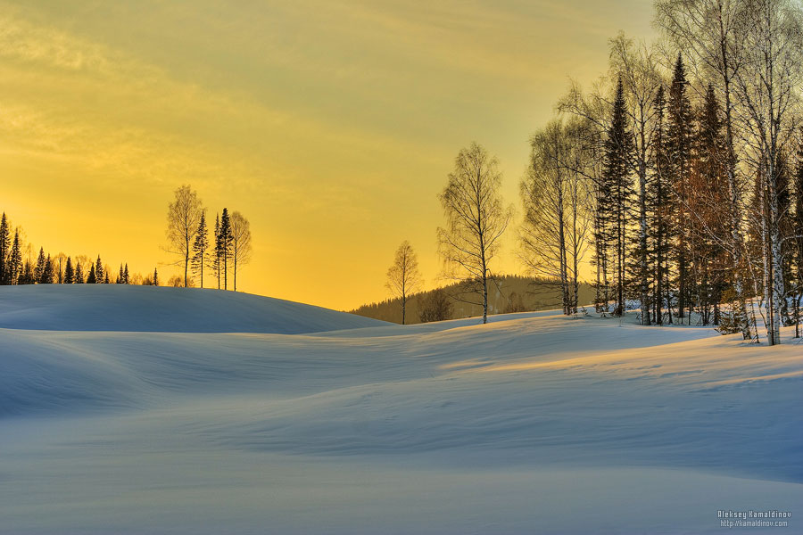 Алексей Камалдинов |  Персональное
.  7
.  👤.  Фото
.  8
.  📸.  Не люди
.  
.  ♾️.  Природа. 